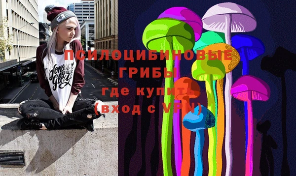 прущая мука Аркадак