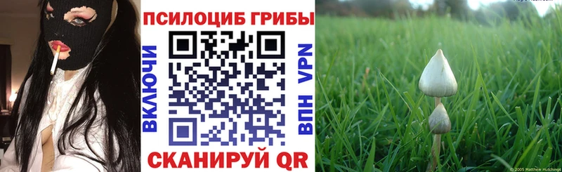 Галлюциногенные грибы прущие грибы  Инта 