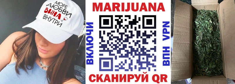 Бошки Шишки план  Инта 